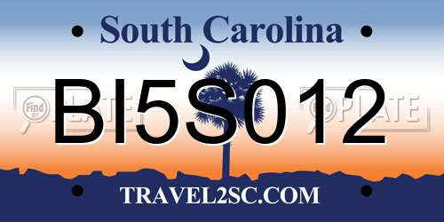 BI5S012 South Carolina License Plate