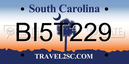 BI5T229 South Carolina License Plate