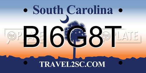 BI6G8T South Carolina License Plate