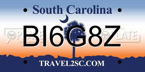 BI6G8Z South Carolina License Plate