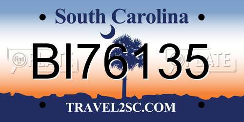 BI76135 South Carolina License Plate