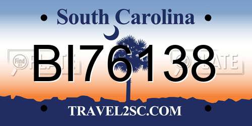 BI76138 South Carolina License Plate