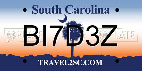 BI7D3Z South Carolina License Plate