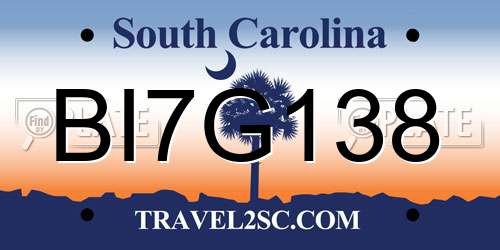 BI7G138 South Carolina License Plate