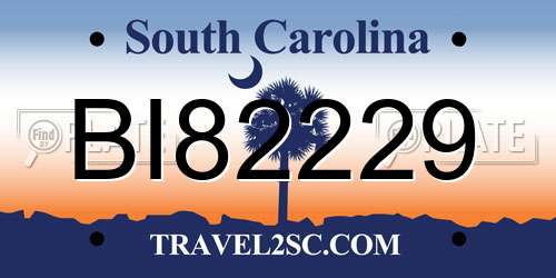 BI82229 South Carolina License Plate