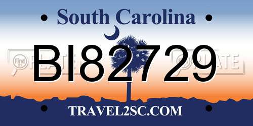BI82729 South Carolina License Plate