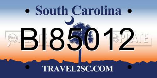 BI85012 South Carolina License Plate