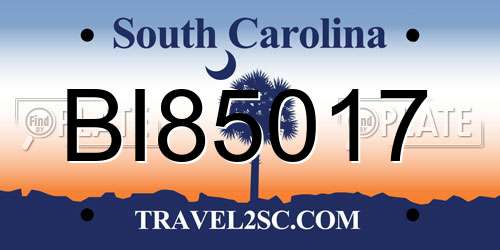 BI85017 South Carolina License Plate