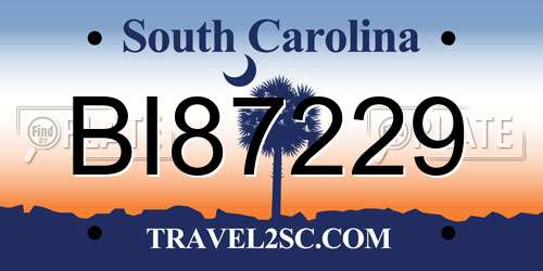 BI87229 South Carolina License Plate