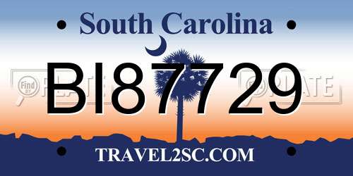 BI87729 South Carolina License Plate