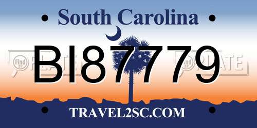 BI87779 South Carolina License Plate