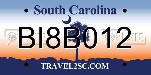 BI8B012 South Carolina License Plate