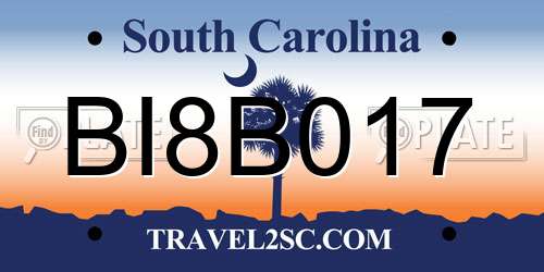 BI8B017 South Carolina License Plate