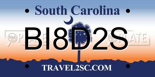 BI8D2S South Carolina License Plate