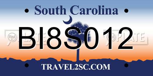 BI8S012 South Carolina License Plate