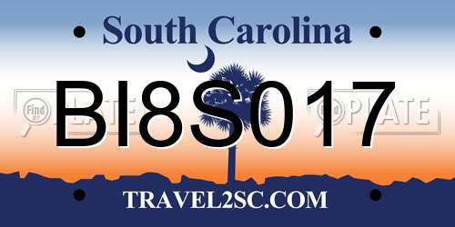 BI8S017 South Carolina License Plate