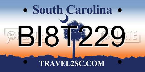 BI8T229 South Carolina License Plate