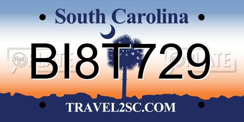 BI8T729 South Carolina License Plate