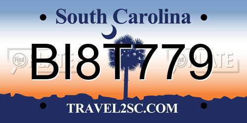 BI8T779 South Carolina License Plate