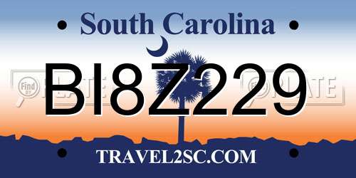 BI8Z229 South Carolina License Plate