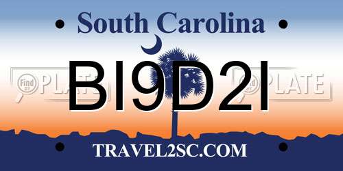 BI9D2I South Carolina License Plate