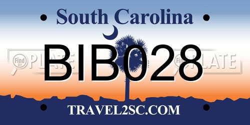 BIB028 South Carolina License Plate