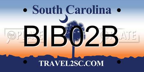 BIB02B South Carolina License Plate