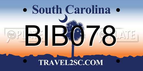BIB078 South Carolina License Plate