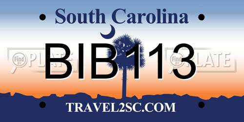 BIB113 South Carolina License Plate