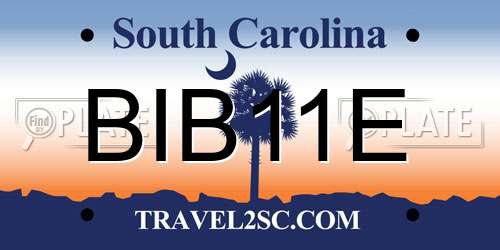 BIB11E South Carolina License Plate