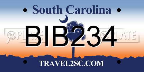 BIB234 South Carolina License Plate