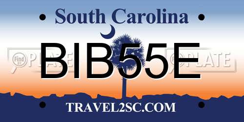 BIB55E South Carolina License Plate