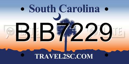 BIB7229 South Carolina License Plate