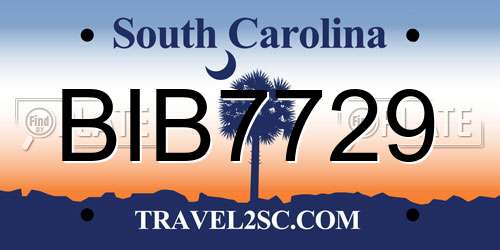 BIB7729 South Carolina License Plate