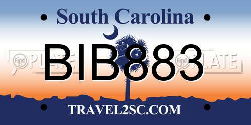 BIB883 South Carolina License Plate