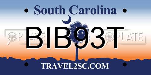 BIB93T South Carolina License Plate