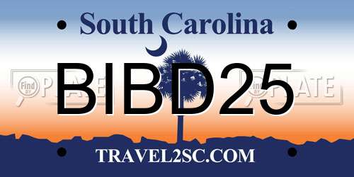 BIBD25 South Carolina License Plate