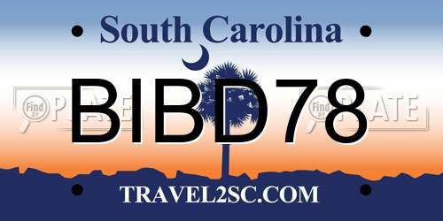 BIBD78 South Carolina License Plate