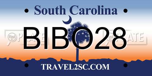 BIBO28 South Carolina License Plate