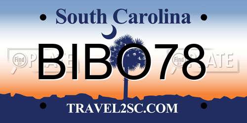 BIBO78 South Carolina License Plate