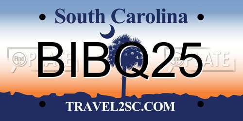 BIBQ25 South Carolina License Plate
