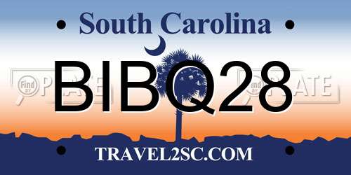 BIBQ28 South Carolina License Plate
