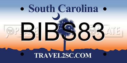 BIBS83 South Carolina License Plate