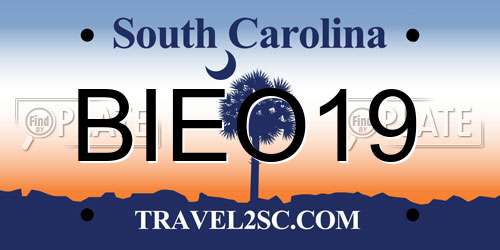 BIEO19 South Carolina License Plate