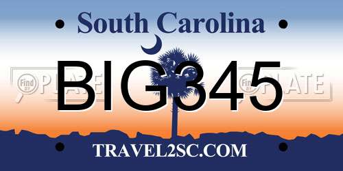 BIG345 South Carolina License Plate