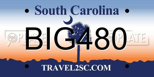 BIG480 South Carolina License Plate