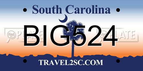BIG524 South Carolina License Plate