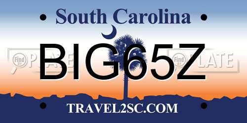 BIG65Z South Carolina License Plate