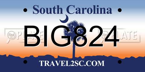 BIG824 South Carolina License Plate
