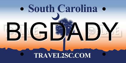 BIGDADY South Carolina License Plate